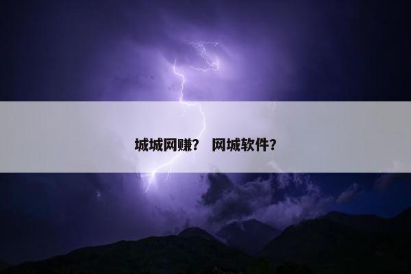 城城网赚？ 网城软件？