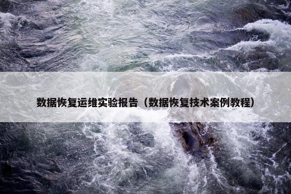 数据恢复运维实验报告（数据恢复技术案例教程）