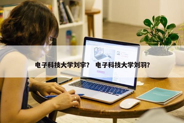电子科技大学刘宇？ 电子科技大学刘羽？