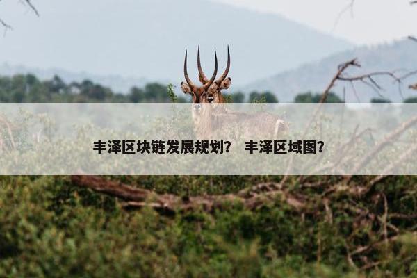 丰泽区块链发展规划？ 丰泽区域图？