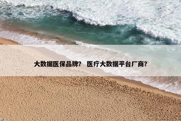 大数据医保品牌？ 医疗大数据平台厂商？