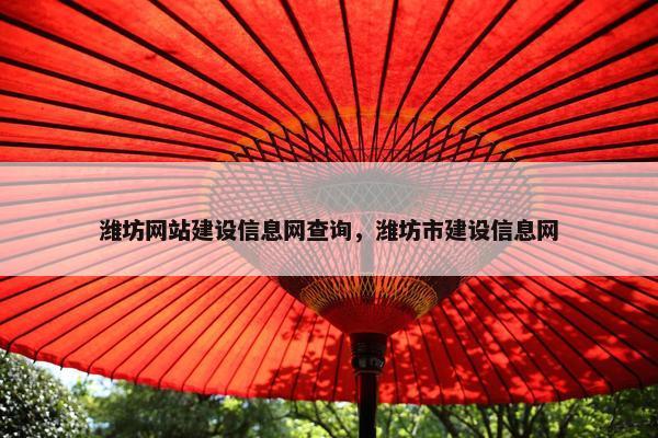 潍坊网站建设信息网查询，潍坊市建设信息网
