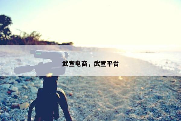 武宣电商，武宣平台