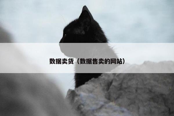 数据卖货（数据售卖的网站）