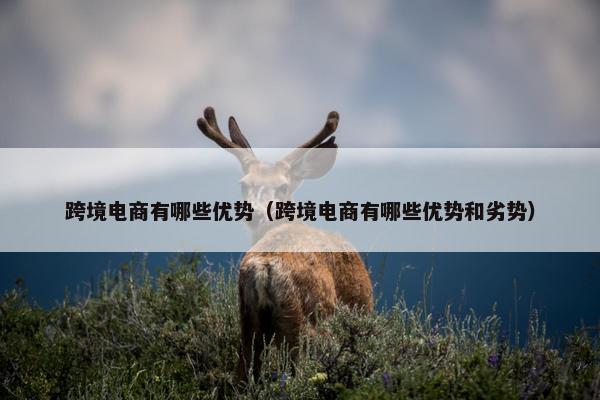 跨境电商有哪些优势（跨境电商有哪些优势和劣势）