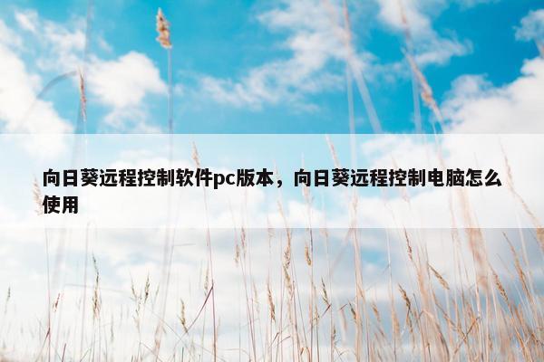 向日葵远程控制软件pc版本，向日葵远程控制电脑怎么使用