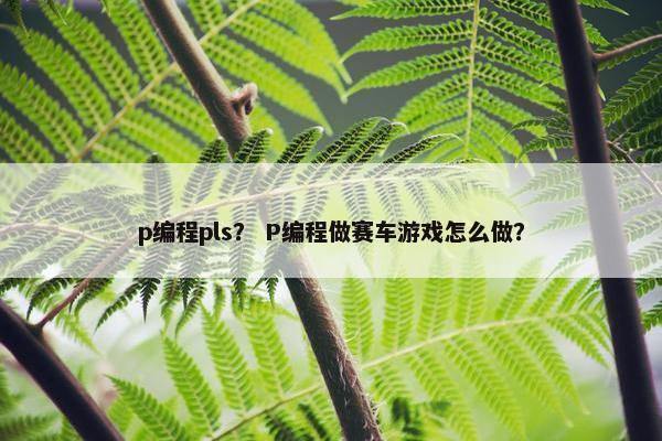 p编程pls？ P编程做赛车游戏怎么做？