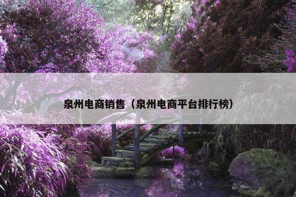 泉州电商销售（泉州电商平台排行榜）