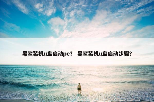 黑鲨装机u盘启动pe？ 黑鲨装机u盘启动步骤？