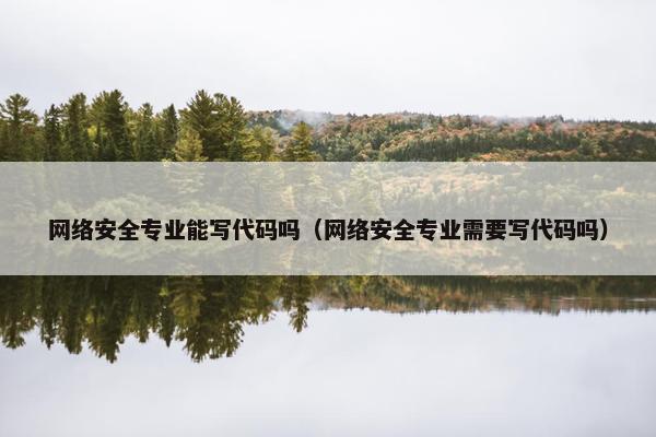 网络安全专业能写代码吗（网络安全专业需要写代码吗）