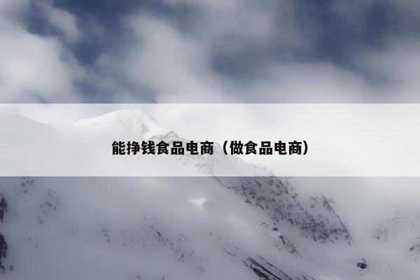 能挣钱食品电商（做食品电商）