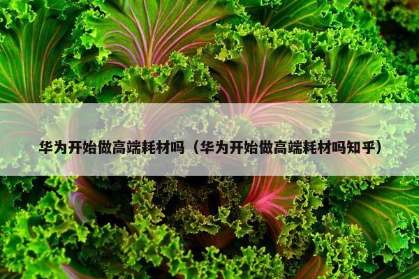 华为开始做高端耗材吗（华为开始做高端耗材吗知乎）