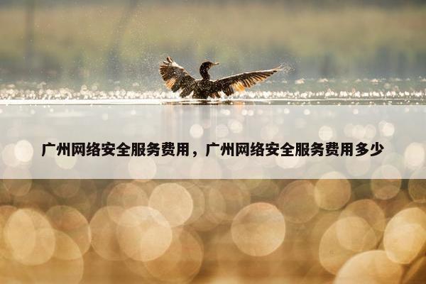 广州网络安全服务费用，广州网络安全服务费用多少