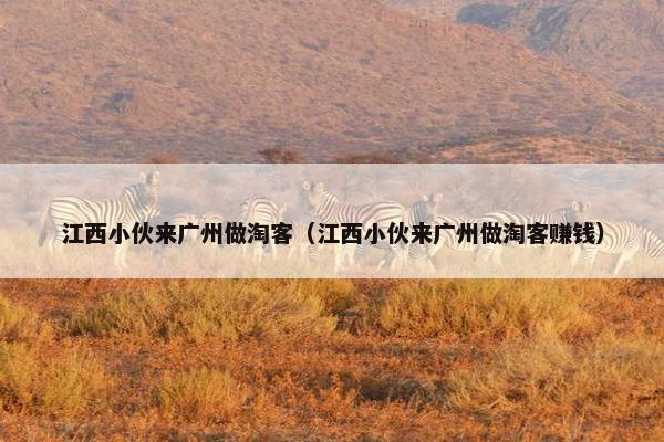江西小伙来广州做淘客（江西小伙来广州做淘客赚钱）