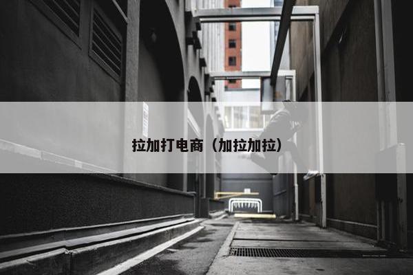 拉加打电商（加拉加拉）