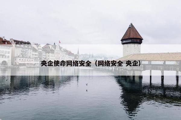 央企使命网络安全（网络安全 央企）