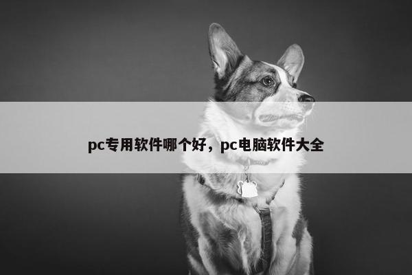 pc专用软件哪个好，pc电脑软件大全