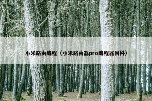 小米路由编程（小米路由器pro编程器固件）