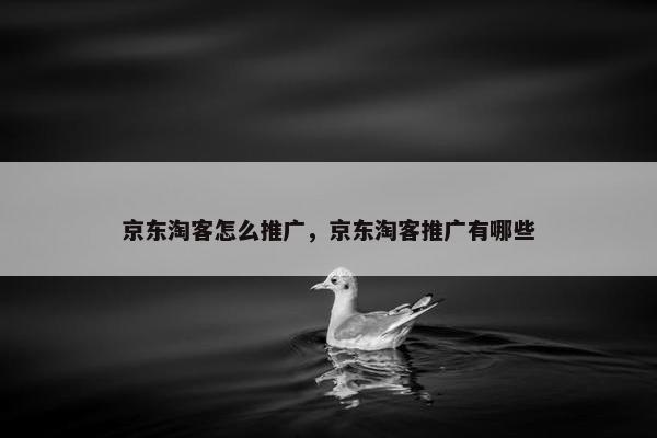 京东淘客怎么推广，京东淘客推广有哪些