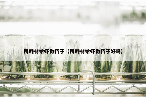 用耗材给虾做档子（用耗材给虾做档子好吗）