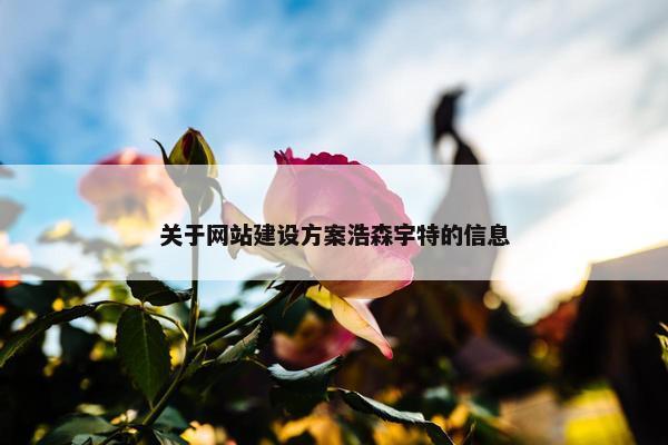 关于网站建设方案浩森宇特的信息