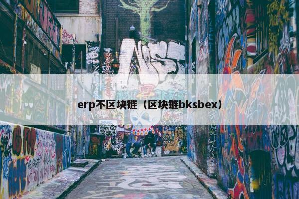 erp不区块链（区块链bksbex）