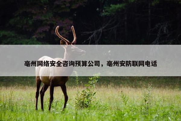 亳州网络安全咨询预算公司，亳州安防联网电话