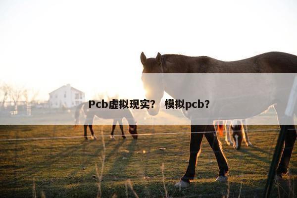 Pcb虚拟现实？ 模拟pcb？