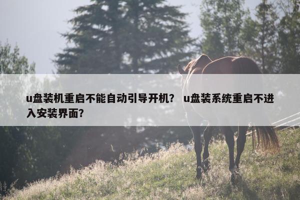 u盘装机重启不能自动引导开机？ u盘装系统重启不进入安装界面？