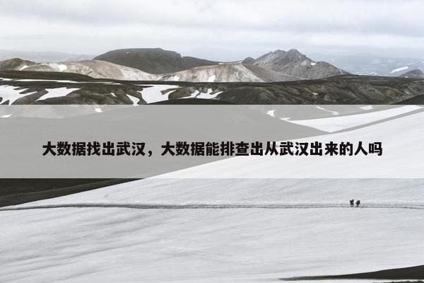 大数据找出武汉，大数据能排查出从武汉出来的人吗