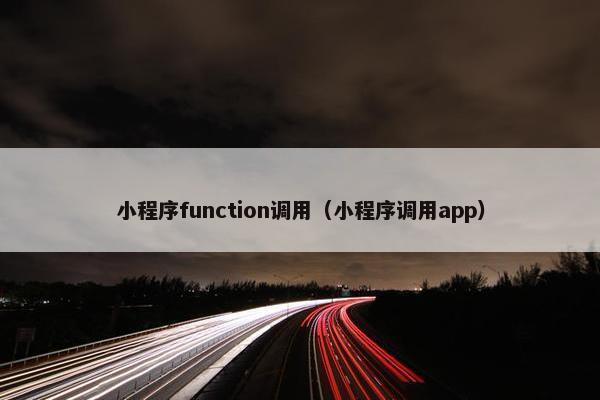 小程序function调用（小程序调用app）