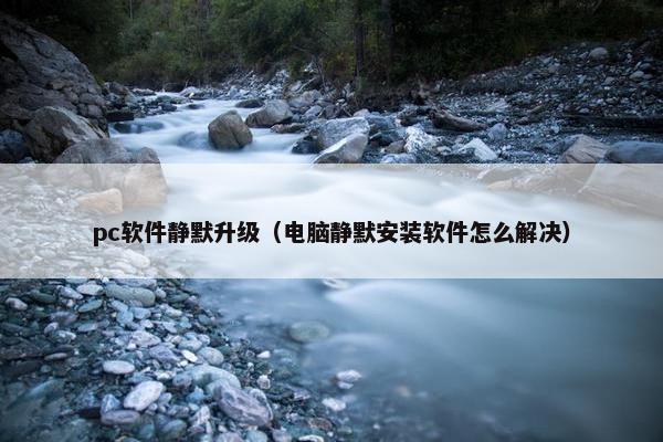 pc软件静默升级（电脑静默安装软件怎么解决）
