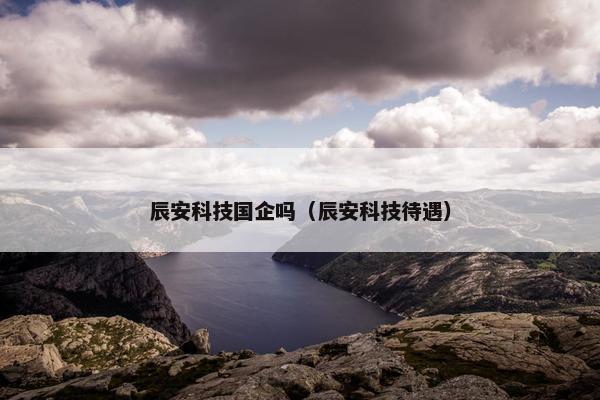 辰安科技国企吗（辰安科技待遇）