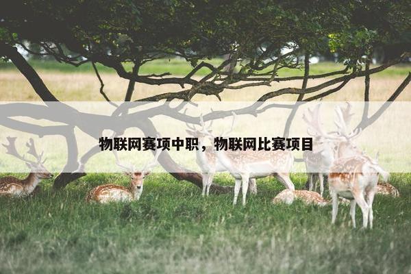 物联网赛项中职，物联网比赛项目