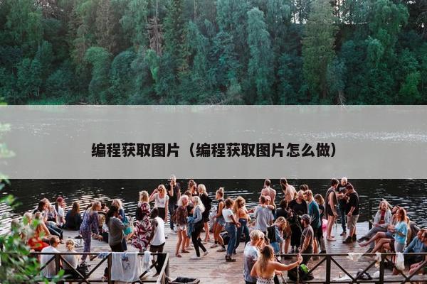 编程获取图片（编程获取图片怎么做）