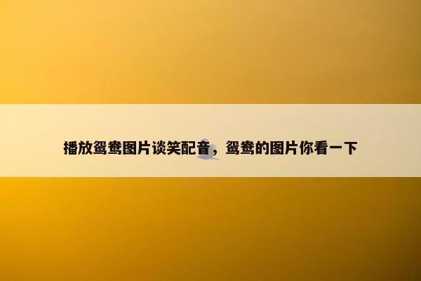 播放鸳鸯图片谈笑配音，鸳鸯的图片你看一下