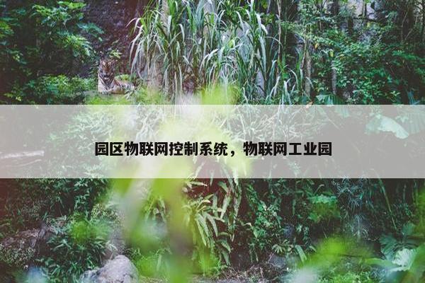 园区物联网控制系统，物联网工业园