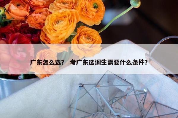 广东怎么选？ 考广东选调生需要什么条件？