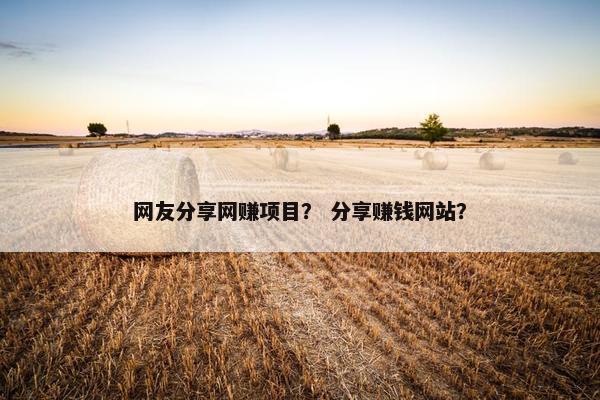 网友分享网赚项目？ 分享赚钱网站？