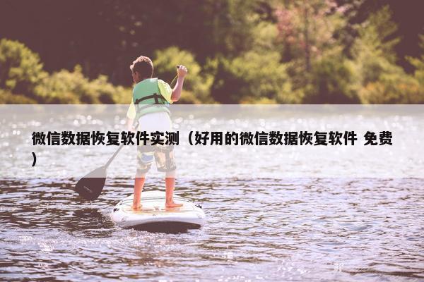 微信数据恢复软件实测（好用的微信数据恢复软件 免费）