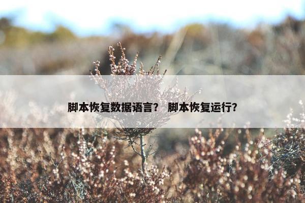 脚本恢复数据语言？ 脚本恢复运行？