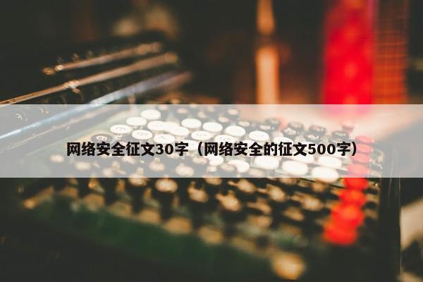 网络安全征文30字（网络安全的征文500字）