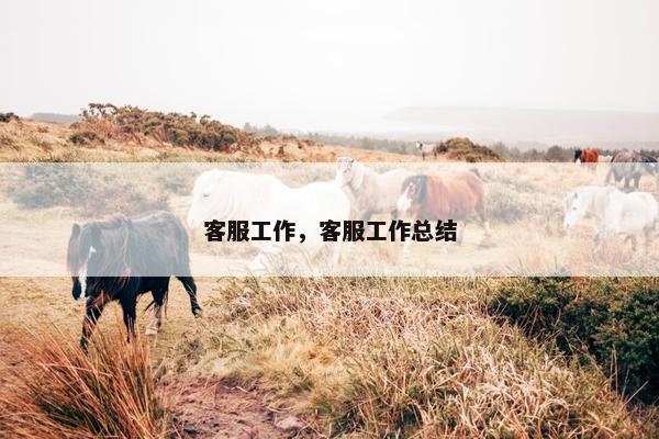 客服工作，客服工作总结
