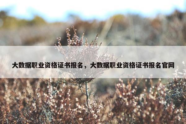 大数据职业资格证书报名，大数据职业资格证书报名官网