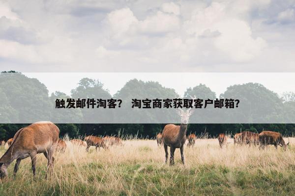触发邮件淘客？ 淘宝商家获取客户邮箱？