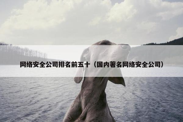 网络安全公司排名前五十（国内著名网络安全公司）