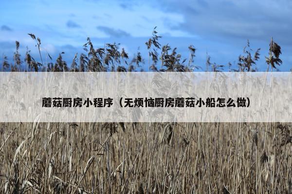蘑菇厨房小程序（无烦恼厨房蘑菇小船怎么做）