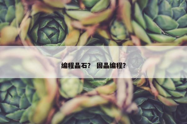 编程晶石？ 固晶编程？