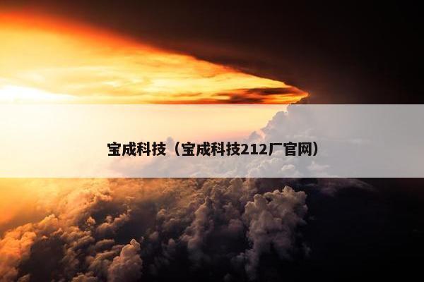 宝成科技（宝成科技212厂官网）