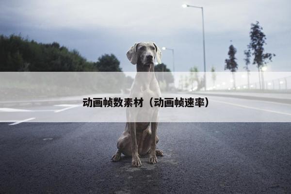 动画帧数素材（动画帧速率）